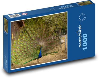 Páv korunkatý - Puzzle 1000 dílků, rozměr 60x46 cm
