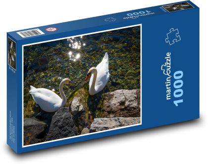 Swans on the river - Puzzle 1000 pieces, size 60x46 cm 