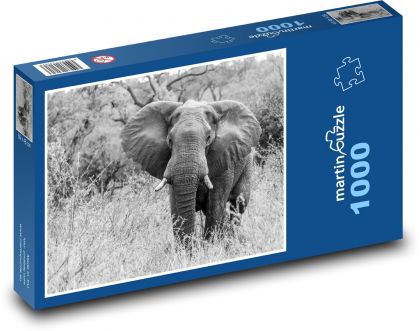 Slon Africký - Puzzle 1000 dílků, rozměr 60x46 cm
