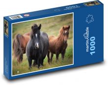 Islandský kůň, stádo Puzzle 1000 - 60x46 cm