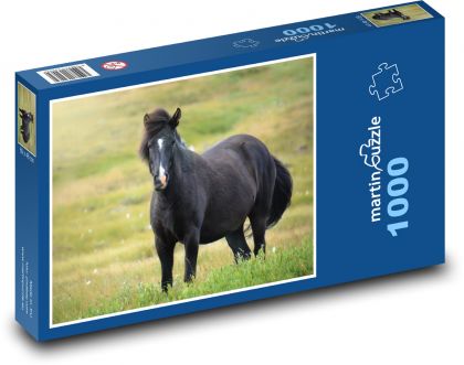 Kůň - islandský, kobyla - Puzzle 1000 dílků, rozměr 60x46 cm
