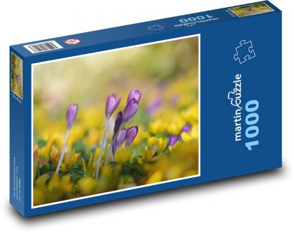 Krokus - Blume, Natur - Puzzle - 1000 Teile