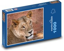 Lvice - Afrika, zvíře Puzzle 1000 dílků - 60 x 46 cm