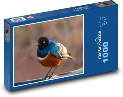 Pták - zvíře, peří - Puzzle 1000 dílků, rozměr 60x46 cm