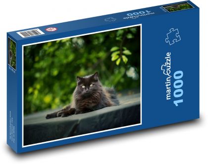 Mačka - čierna, zviera - Puzzle 1000 dielikov, rozmer 60x46 cm