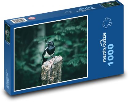 Straka - pták, příroda - Puzzle 1000 dílků, rozměr 60x46 cm