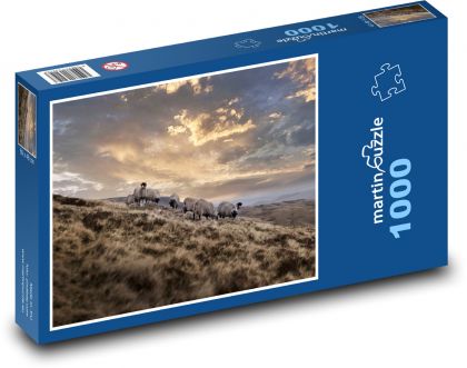 Ovce - pasienky, lúka - Puzzle 1000 dielikov, rozmer 60x46 cm