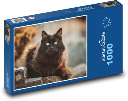 Kočka - černá, zvíře - Puzzle 1000 dílků, rozměr 60x46 cm