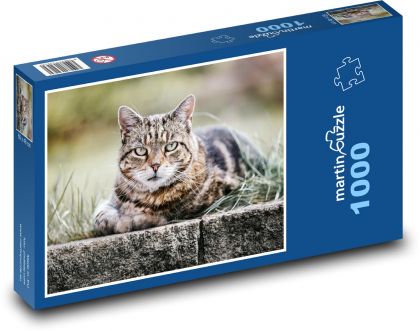 Mačka - mourek, zviera - Puzzle 1000 dielikov, rozmer 60x46 cm