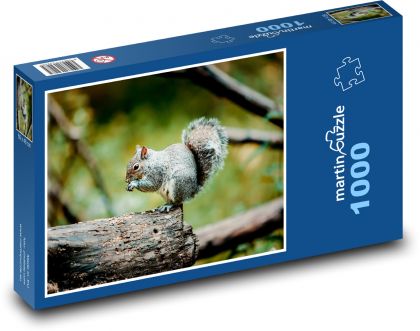 Veverička - zviera, les - Puzzle 1000 dielikov, rozmer 60x46 cm