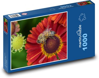 Květiny - včela, opýlení - Puzzle 1000 dílků, rozměr 60x46 cm