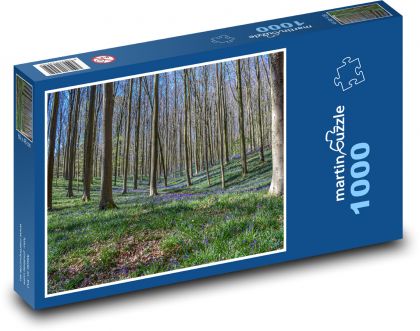 Las - drzewa, przyroda - Puzzle 1000 elementów, rozmiar 60x46 cm