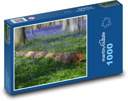 Les - květiny, stromy - Puzzle 1000 dílků, rozměr 60x46 cm