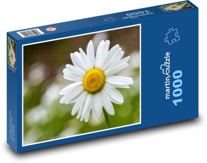Chamomile - flower, spring - Puzzle 1000 pieces, size 60x46 cm 