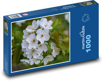Kvet - jar, príroda - Puzzle 1000 dielikov, rozmer 60x46 cm