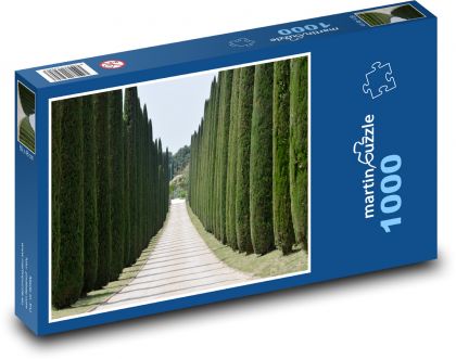 Cypřiše - stromy, cesta - Puzzle 1000 dílků, rozměr 60x46 cm