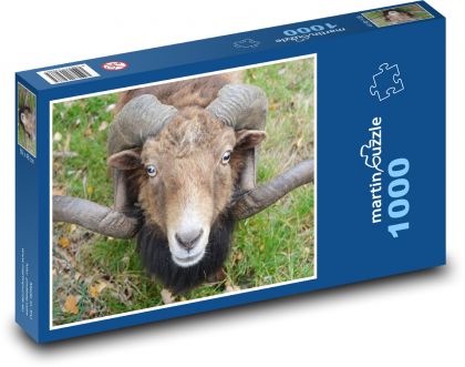 Schaf - Hörner, Tier - Puzzle - 1000 Teile
