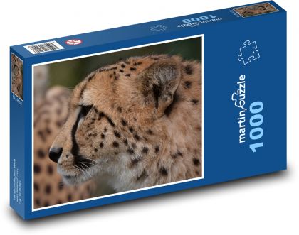 Gepard - šelma, zvíře - puzzle 1000 dílků