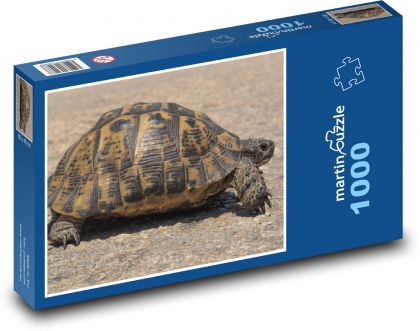 Želva - plaz, zvíře - Puzzle 1000 dílků, rozměr 60x46 cm