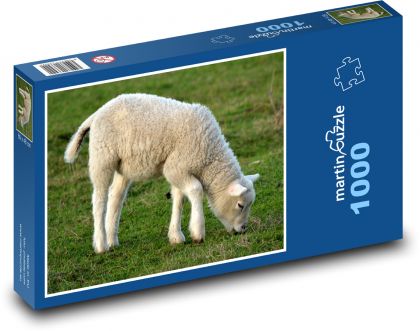 Lamb - spring, nature - Puzzle 1000 pieces, size 60x46 cm 