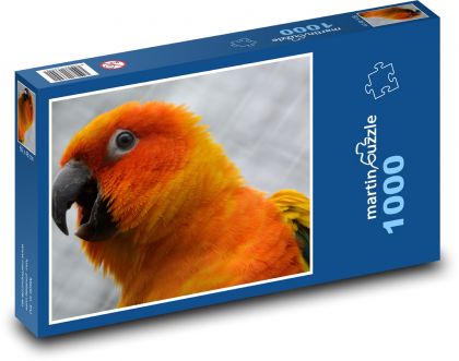 Papoušek - oranžový pták - Puzzle 1000 dílků, rozměr 60x46 cm