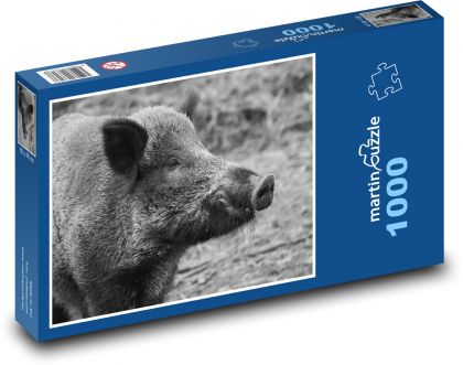 Dzik - świnia - Puzzle 1000 elementów, rozmiar 60x46 cm