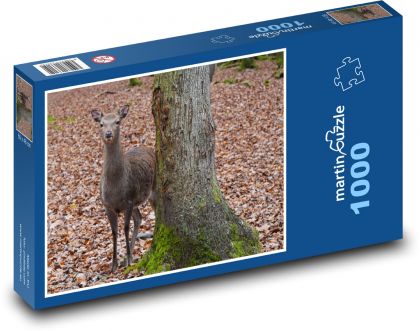 Srnec - les, podzim - Puzzle 1000 dílků, rozměr 60x46 cm