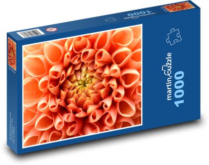Jiřina - kvet, oranžová - Puzzle 1000 dielikov, rozmer 60x46 cm