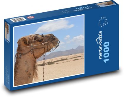 Camel - desert, animal - Puzzle 1000 pieces, size 60x46 cm 