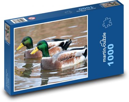 Enten auf einem Teich - Puzzle - 1000 Teile