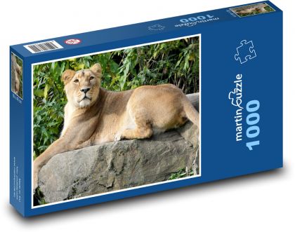 Lvice - savec, zvíře - Puzzle 1000 dílků, rozměr 60x46 cm