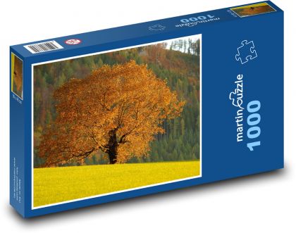 Podzim - strom, listí - Puzzle 1000 dílků, rozměr 60x46 cm
