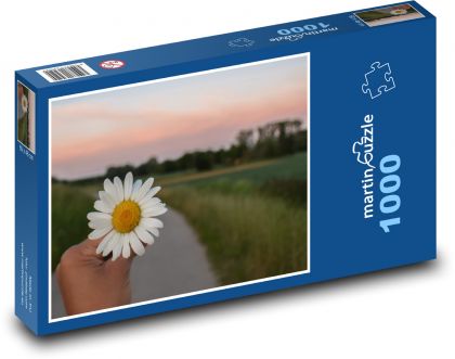 Camomille flowers - Puzzle 1000 pieces, size 60x46 cm 