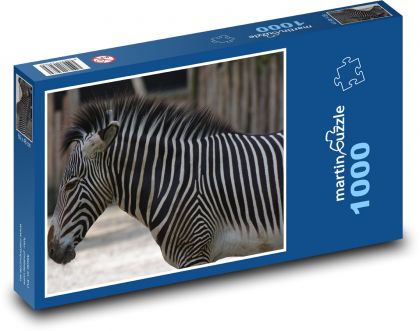 Zebra - zvíře, pruhy - Puzzle 1000 dílků, rozměr 60x46 cm