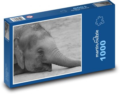 Slon - zvíře, Afrika - Puzzle 1000 dílků, rozměr 60x46 cm