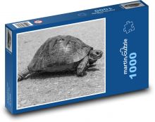 Żółw w drodze Puzzle 1000 elementów - 60x46 cm