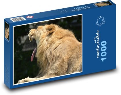 Lev, predátor, zvíře - Puzzle 1000 dílků, rozměr 60x46 cm