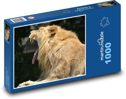 Lion with open mouth - Puzzle 1000 pieces, size 60x46 cm 