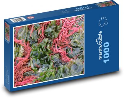 Algen im Meer - Puzzle - 1000 Teile