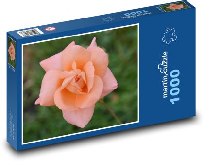 Róża - kwiat, kwiat - Puzzle 1000 elementów, rozmiar 60x46 cm