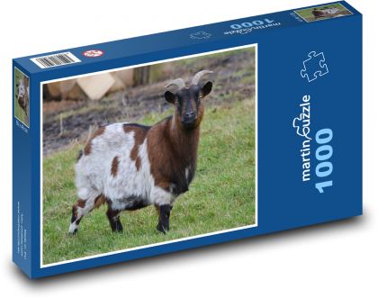 Ziege - Tier, Wiese - Puzzle - 1000 Teile