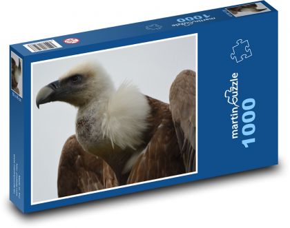 Vulture - a bird of prey - Puzzle 1000 pieces, size 60x46 cm 