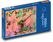 Jeseň - listy, príroda Puzzle 1000 dielikov - 60 x 46 cm 