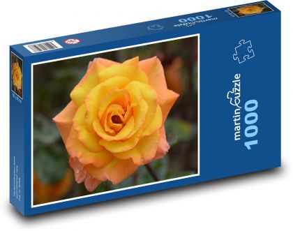 Žltý ružový kvet - Puzzle 1000 dielikov, rozmer 60x46 cm
