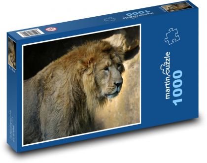 Lew - drapieżnik, ssak - Puzzle 1000 elementów, rozmiar 60x46 cm