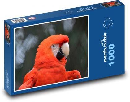 Papagáj - vták, zobák - Puzzle 1000 dielikov, rozmer 60x46 cm