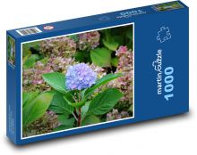 Hydrangea - flower, nature Puzzle 1000 pieces - 60 x 46 cm 