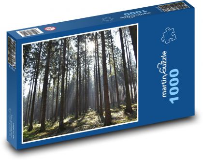 Les - příroda, stromy - Puzzle 1000 dílků, rozměr 60x46 cm