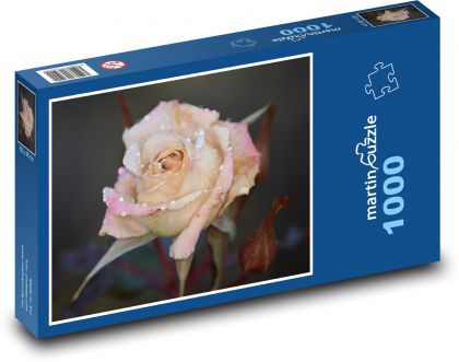 Ruža - kvet, príroda - Puzzle 1000 dielikov, rozmer 60x46 cm