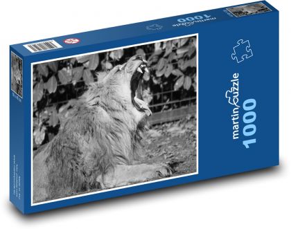 Lev - samec, zvíře - Puzzle 1000 dílků, rozměr 60x46 cm
